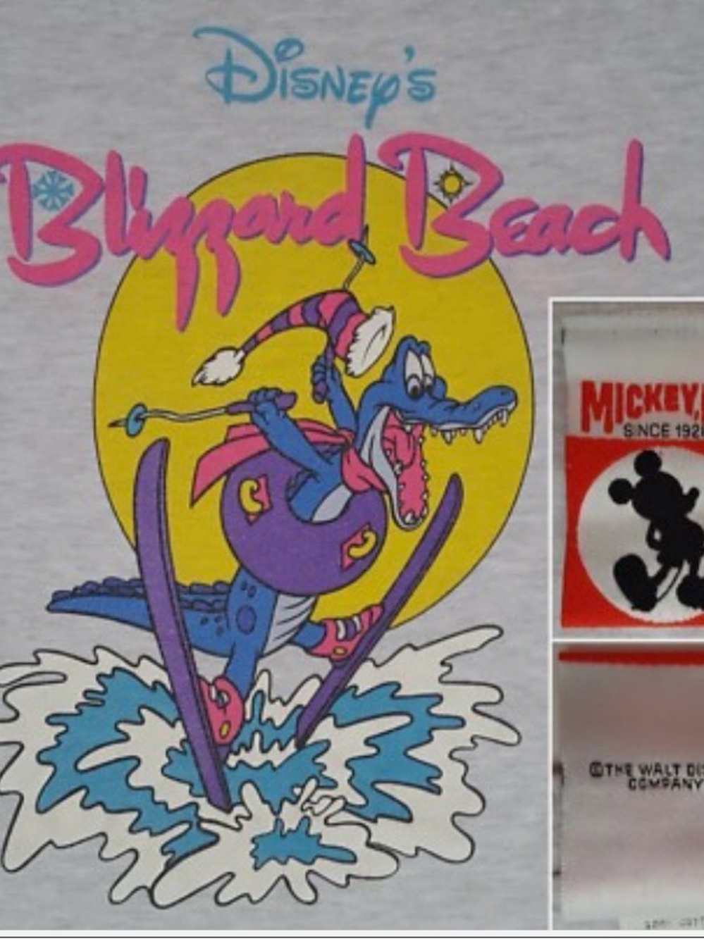 Vintage 1990 Disney Blizzard Beach Kids Short Sleeve Tee - Gray